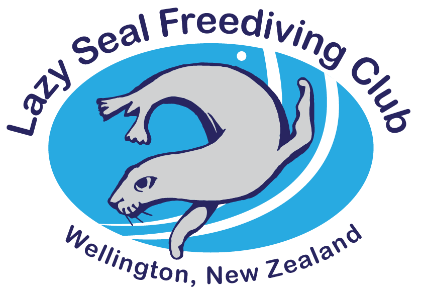 Lazy Seal Logo